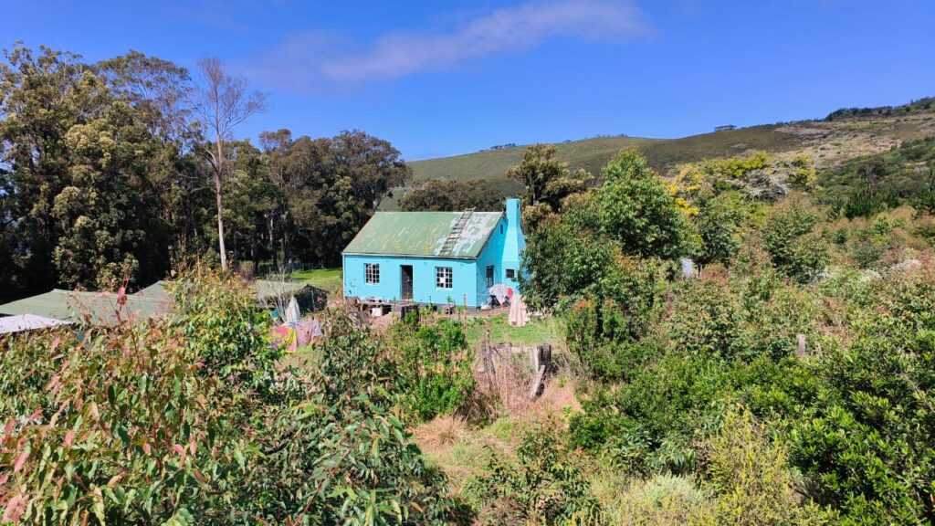 Little Blue House